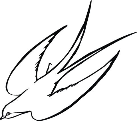 Flying Swallow Bird Coloring Page